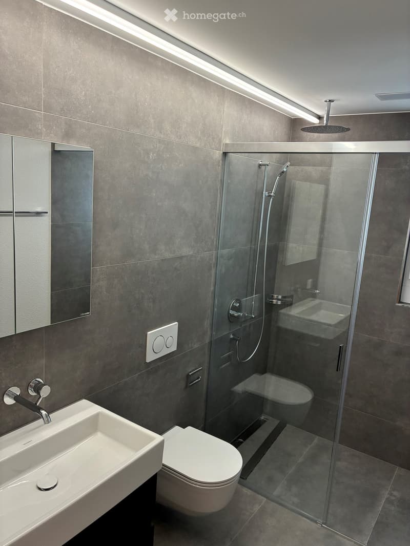 Modern bathroom with grey tiled walls, a white sink with a chrome faucet, a toilet, a glass-enclosed shower with a handheld showerhead, and a large mirror above the sink.