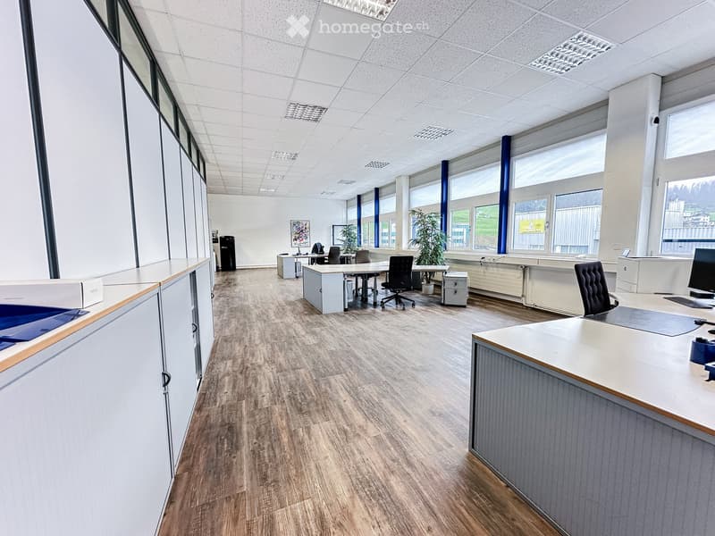 Office space with desks, chairs, computer monitors, plants, ceiling lights, and large windows.