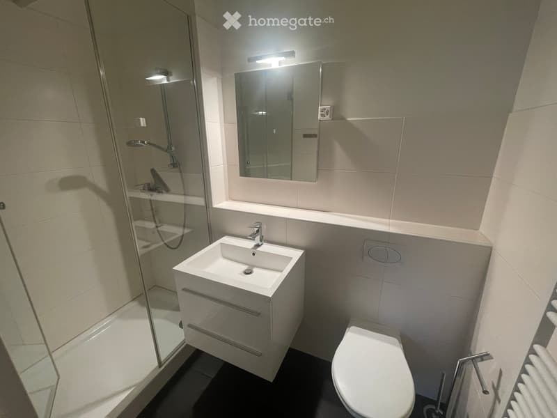 Modern bathroom with a white sink, mirror, toilet, and glass-enclosed shower. Features sleek design with light-colored tiles and modern fixtures.