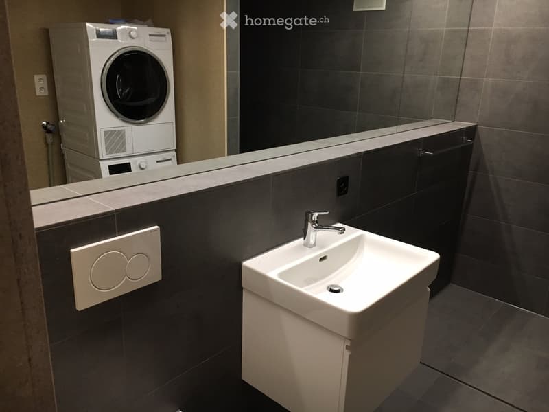 Modern bathroom with a white sink, chrome faucet, dark tiled walls, and a washing machine in the corner.