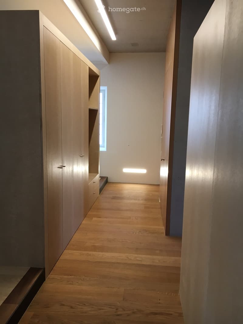 Modern hallway with light wooden flooring, white walls, built-in storage units, and recessed lighting.