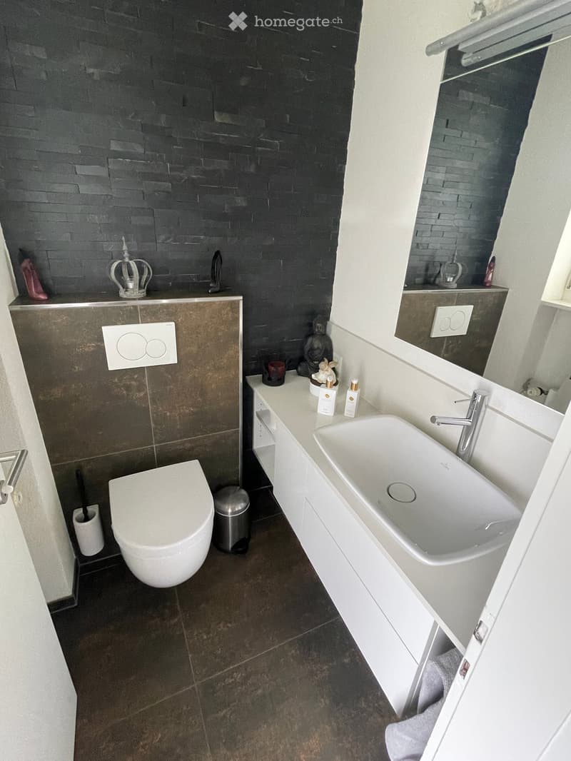Modern bathroom with dark tiled walls, white sink, toilet, and mirror. Includes a small shelf with decorative items and toiletries.