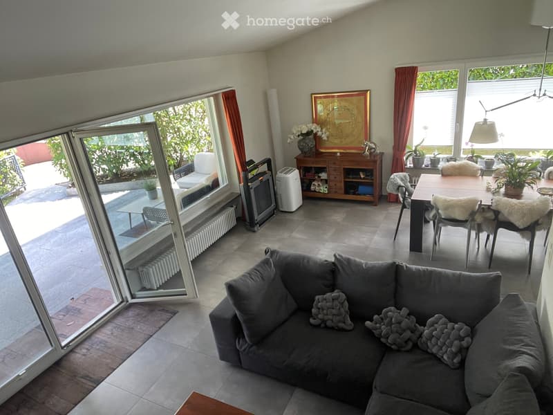 Living room with a grey sectional sofa, a wooden dining table with chairs, a wooden cabinet, a lamp, a picture frame, and several plants.