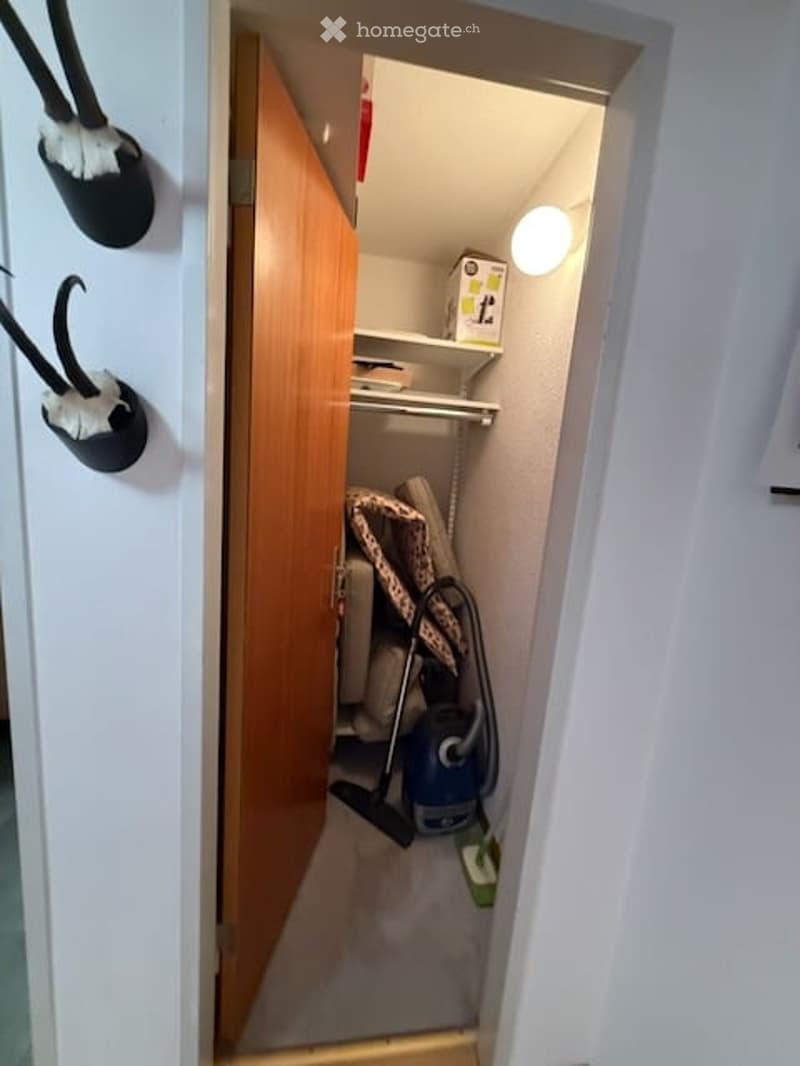 A small, well-lit closet with a wooden door, containing a vacuum cleaner, a shelf with a storage box, and other cleaning supplies.