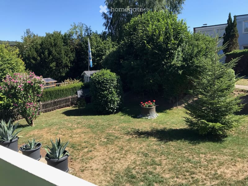Well-maintained garden with green grass, potted plants, flowering bushes, and a small wooden fence.