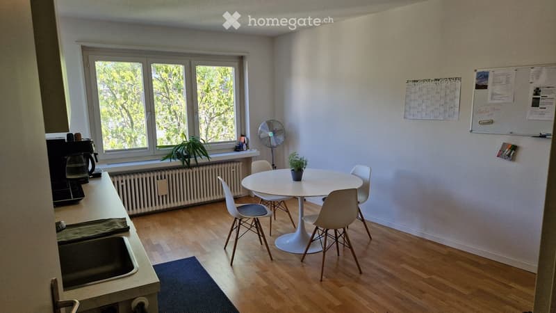 Bright, modern room with wooden flooring, white walls, and large windows. Features a round white dining table with four chairs, a small fan, a sink with a coffee maker, and potted plants.