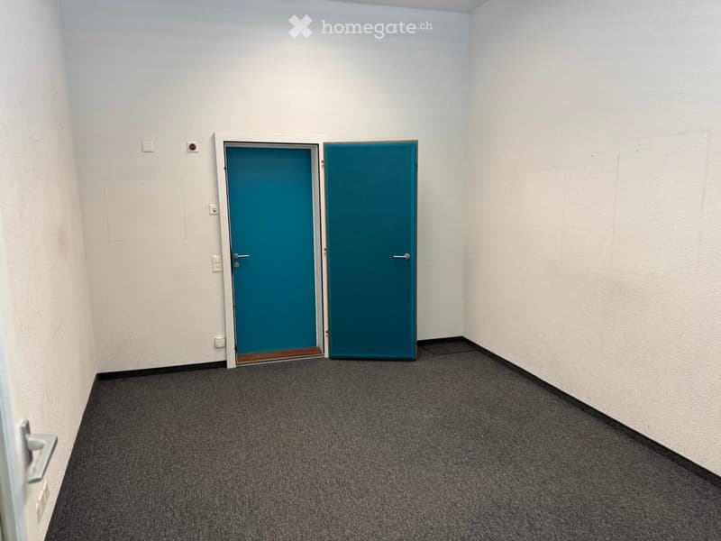 Empty room with light-colored walls, dark carpeted floor, and a blue door with a white frame.