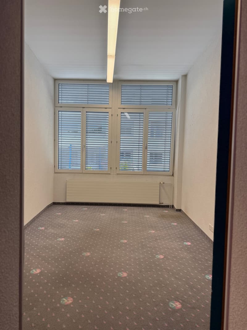 Empty room with beige walls, carpeted floor with floral pattern, large windows with blinds, and a radiator below the windows.