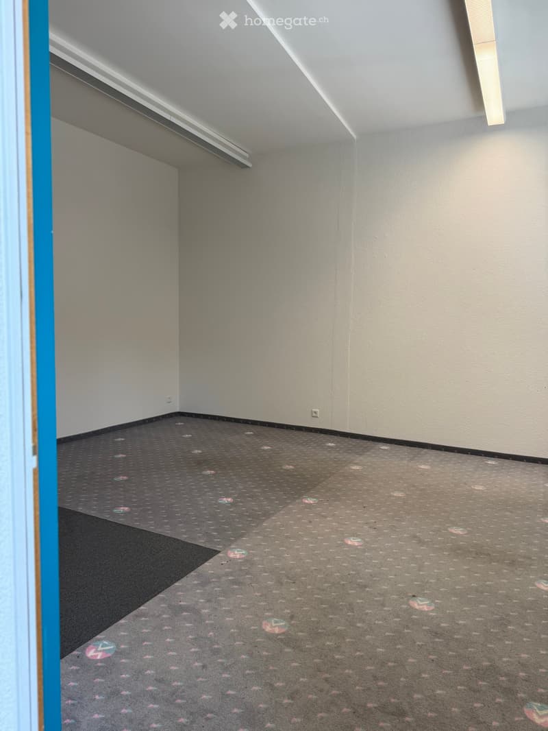 Empty room with grey carpet featuring pink and white circular patterns, white walls, and a blue door frame visible on the left side.