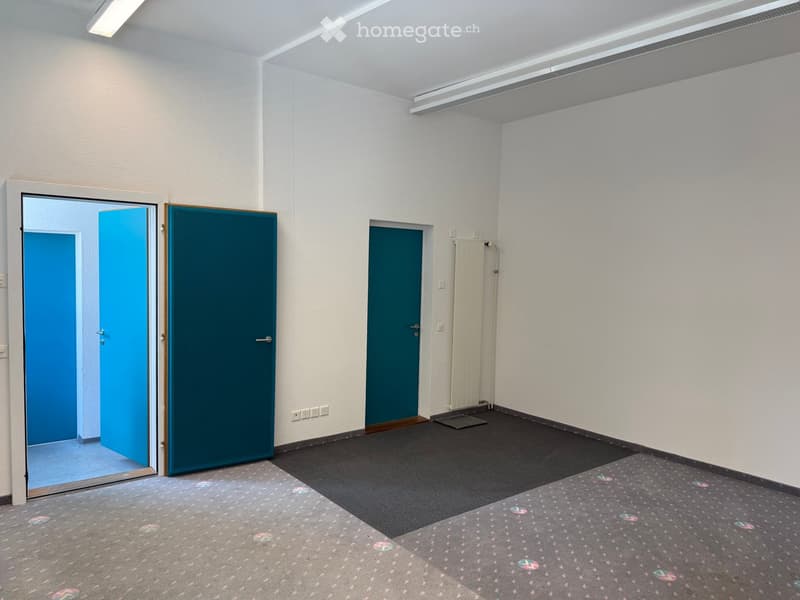 Empty room with white walls, carpeted floor, and two doors (one blue, one teal).