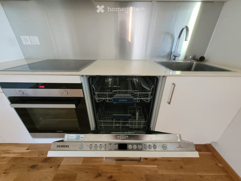 Modern kitchen with stainless steel appliances, including a dishwasher, oven, induction cooktop, and sink with a faucet.