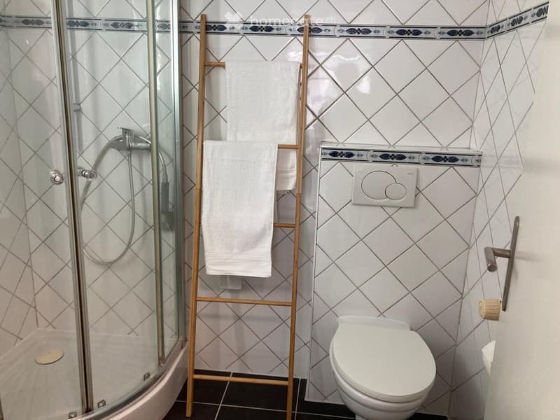 Modern bathroom with white tiled walls, a glass-enclosed shower, a toilet, and a wooden towel rack holding white towels.