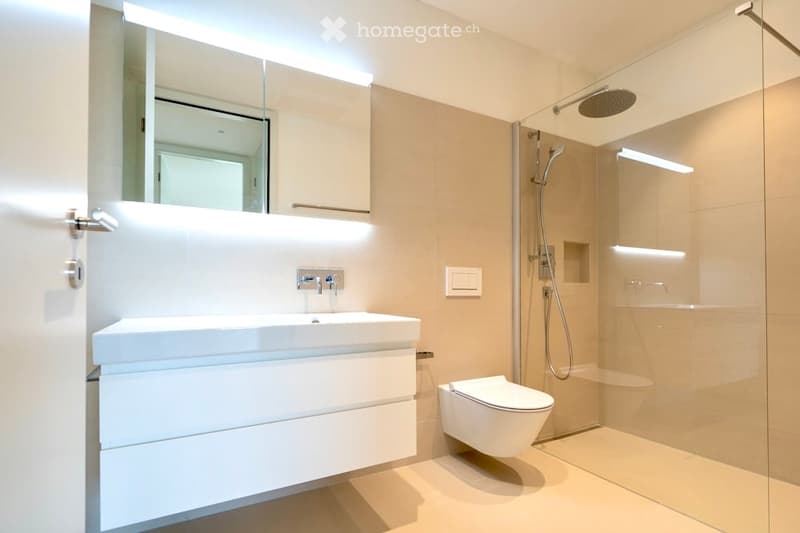 Modern bathroom with a white sink, large mirror, toilet, and glass-enclosed shower with a handheld showerhead.