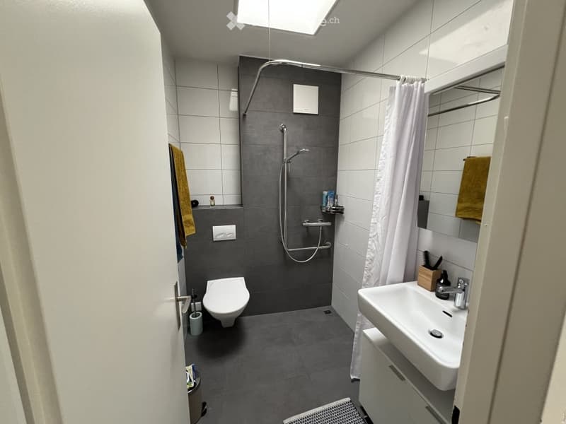 Modern bathroom with grey tiles, a toilet, a sink, a shower with a curtain, and a mirror. Includes a towel and a small shelf with toiletries.