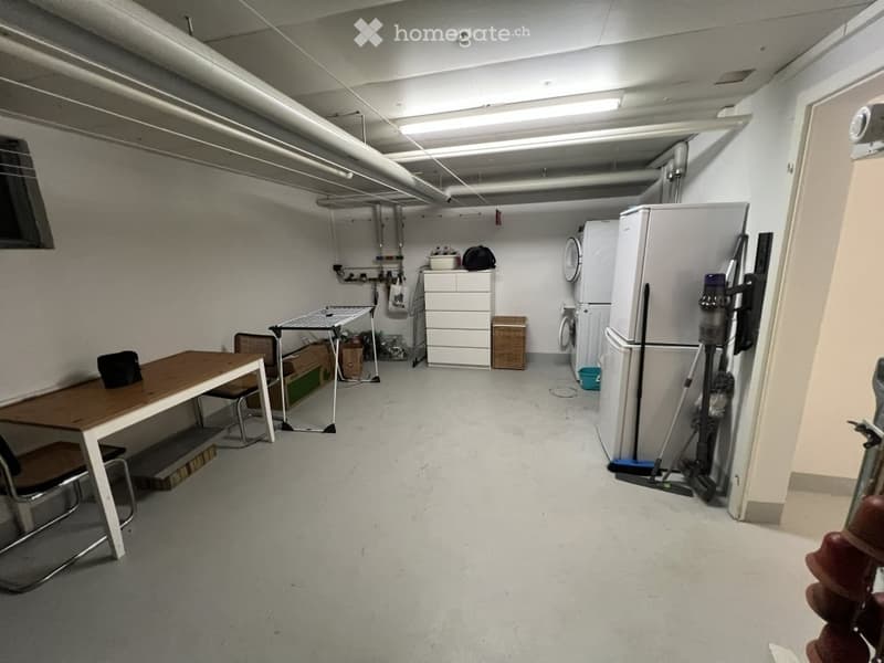 The room is a utility space with a table and chairs, a refrigerator, a washing machine, a small cabinet, and cleaning supplies.
