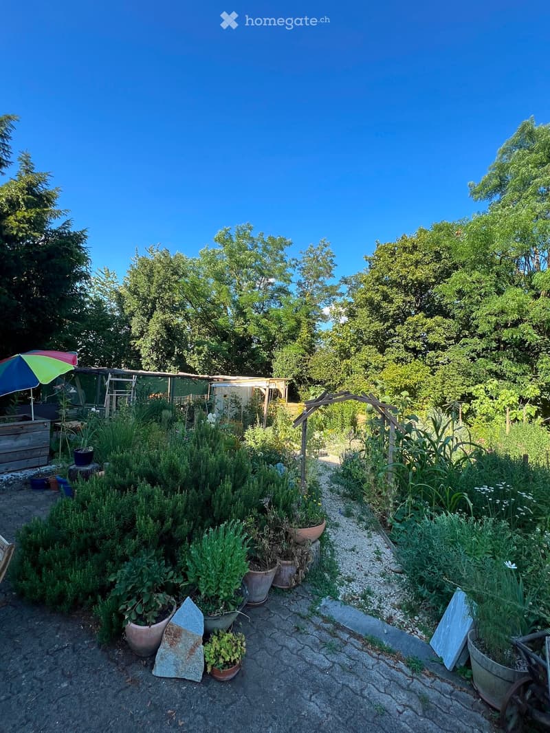 Well-maintained garden with various potted plants, herbs, and shrubs arranged along a stone pathway, surrounded by trees and greenery under a clear blue sky.