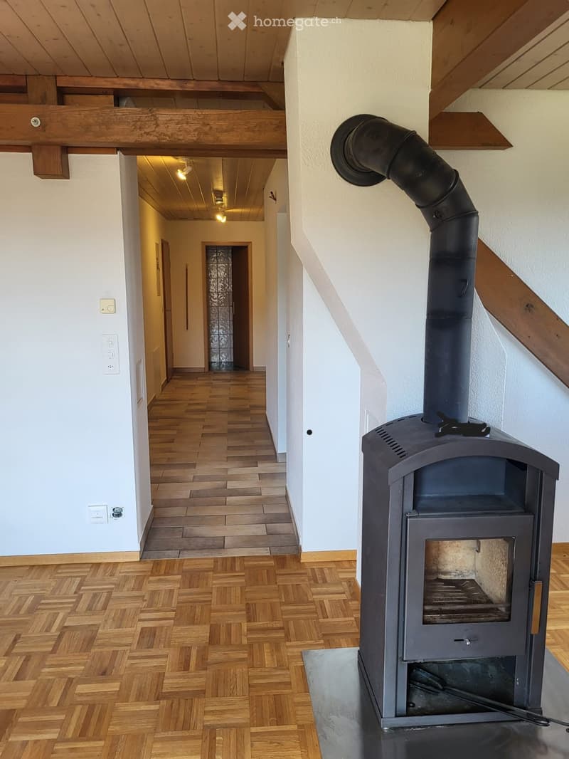 Hallway with wooden flooring, white walls, and a modern wood-burning stove with a chimney on the right side.