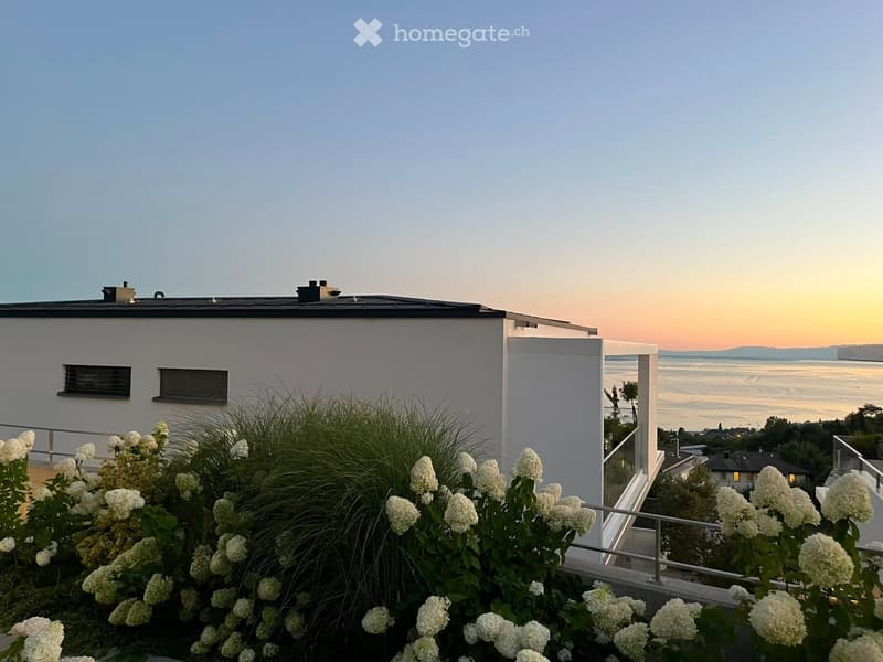 A modern rooftop garden with white hydrangeas, tall grasses, and a view of the ocean at sunset.
