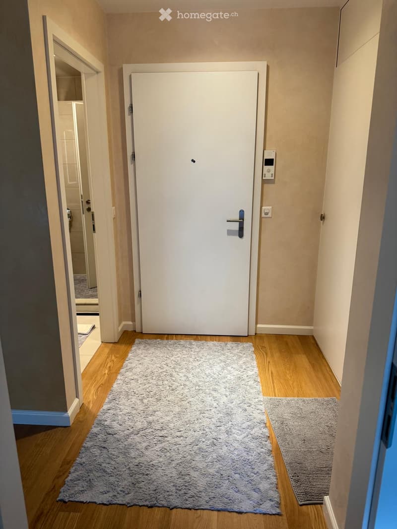 Narrow hallway with wooden flooring, light-colored walls, and a large white door at the end. A gray shag rug is placed on the floor, with a smaller runner rug beside it. A partially visible bathroom is seen to the left.
