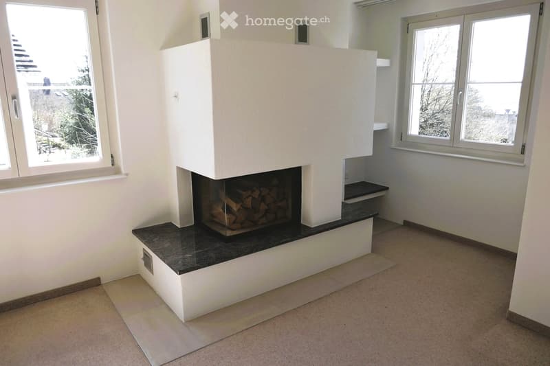 empty room, fireplace, white walls, carpeted floor, two windows