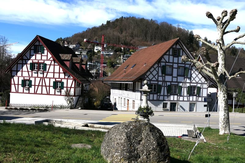Two traditional houses with red roofs, white walls, and green shutters. One house has a chimney, and both have staircases leading to the entrance. A crane is visible in the background, and a mountain is in the distance. A large rock and a tree are in the