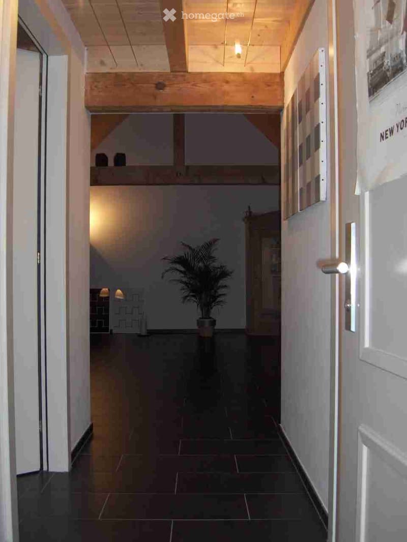 Hallway with exposed wooden beams, dark tiled floor, and a potted plant in the background.