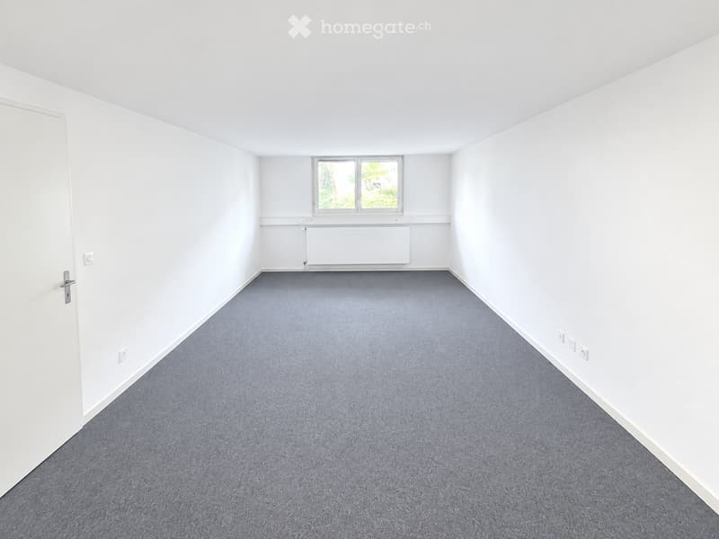 Empty room with white walls, grey carpet, a window with white frame, and a radiator below it. No furniture or equipment present.