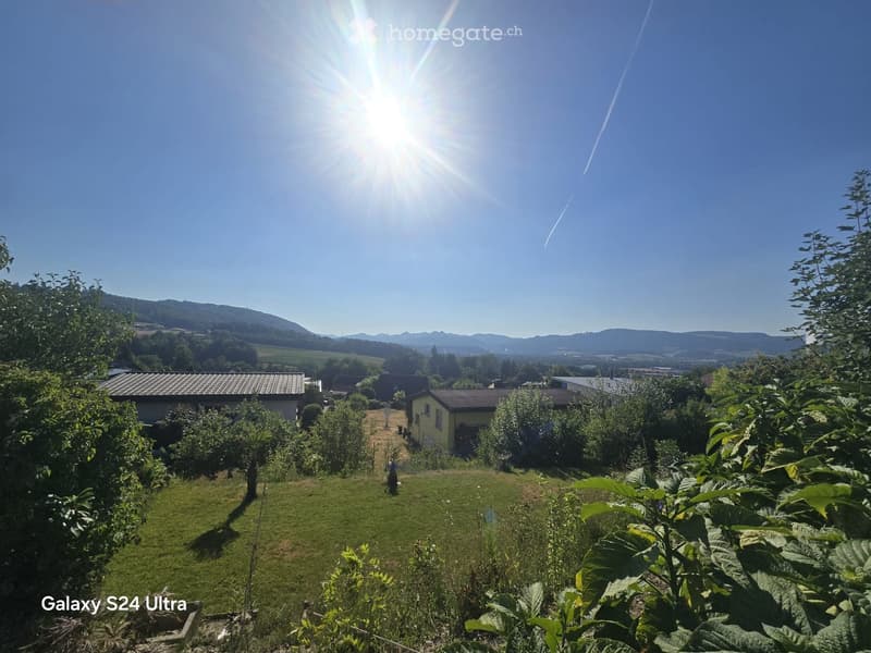 A sunny garden with a grassy lawn, trees, and a view of houses and mountains in the background.