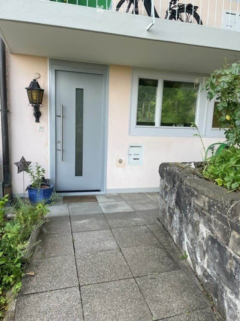 Entrance area with a grey front door, a small potted plant, and a wall-mounted lantern light fixture.