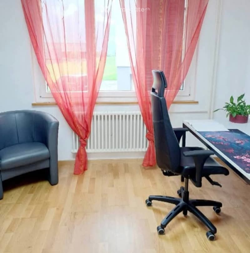 A modern, well-lit room with wooden flooring, a grey sofa, a black office chair, a desk with a plant, and red sheer curtains on the windows.