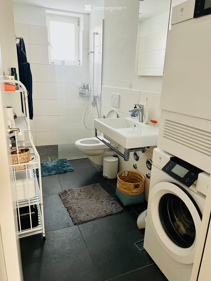 Modern bathroom with a sink, toilet, shower, washing machine, and various accessories including baskets and rugs.