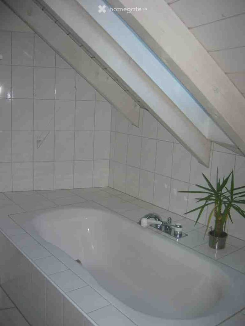 Bathroom. Modern bathroom with a large bathtub, sleek faucet, and a small potted plant on the edge of the tub. The walls are tiled, and there is a skylight above the bathtub.