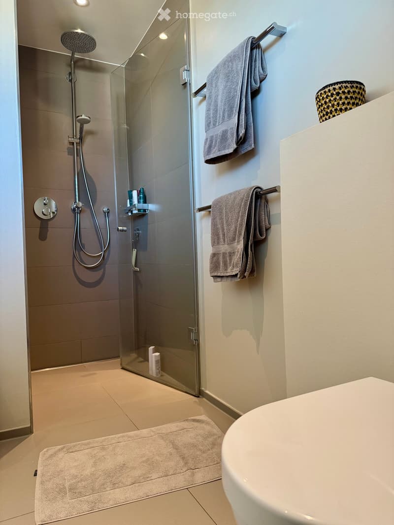 Modern bathroom with a bathtub, glass-enclosed shower, towel rack, and a small shelf inside the shower holding toiletries.