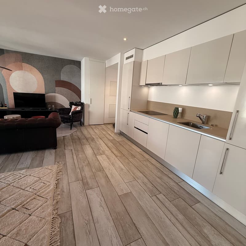 {"type": "Furnished Room", "objects": ["sofa", "chair", "table", "kitchen cabinets", "sink", "faucet", "faucet", "faucet", "faucet", "faucet", "faucet", "faucet", "faucet", "faucet", "faucet", "faucet", "faucet", "faucet", "faucet", "faucet", "faucet", "f