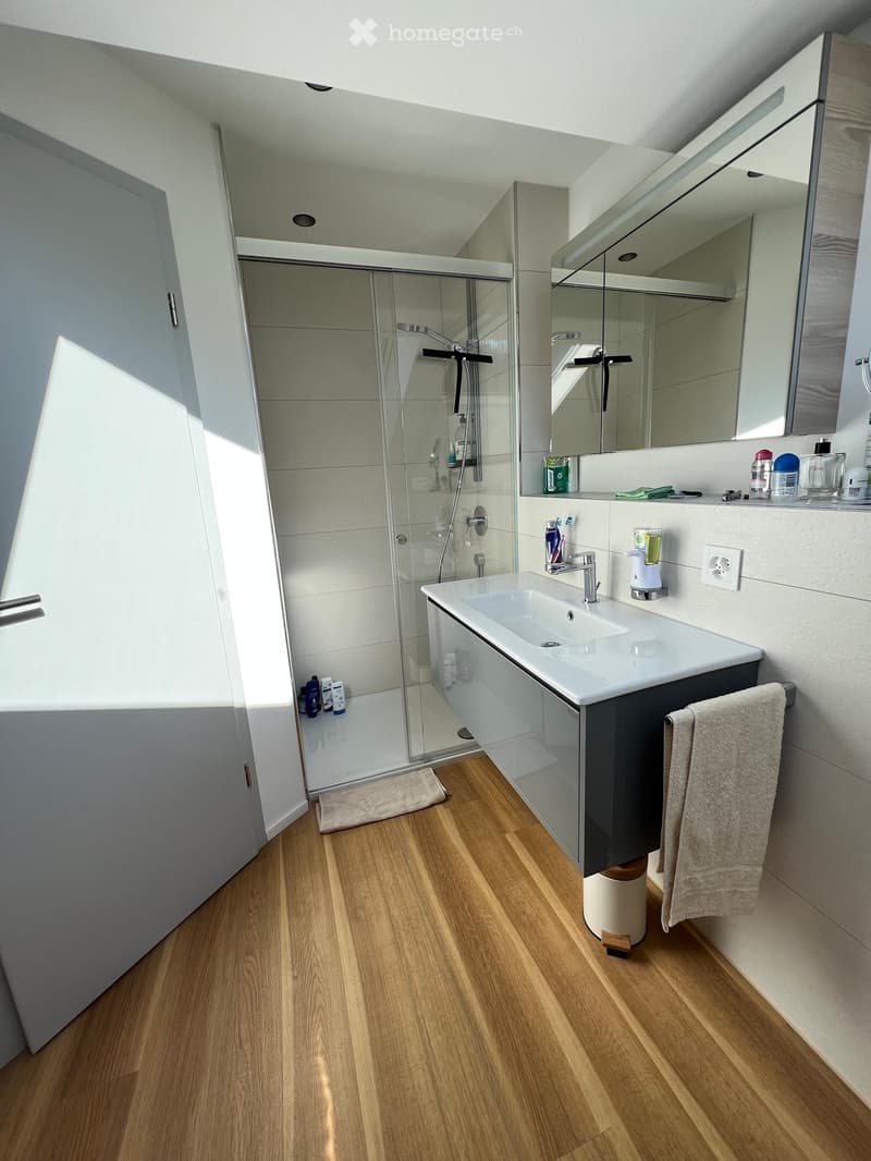 Modern bathroom with glass shower, white sink with gray cabinet, wooden floor, mirror with shelves, towel rack