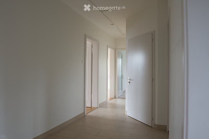 Empty hallway with light-colored walls, wooden flooring, and several doors leading to other rooms.