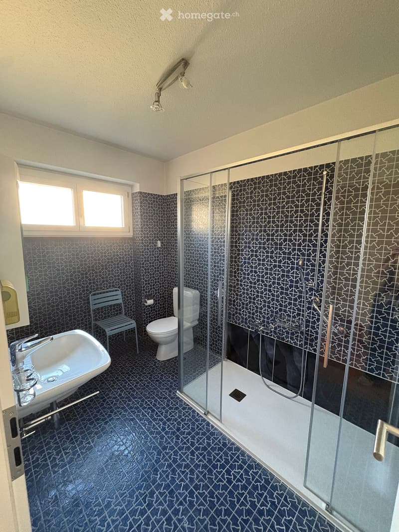 Bathroom with blue patterned tiles, glass-enclosed shower stall, sink, toilet, and a small stool.