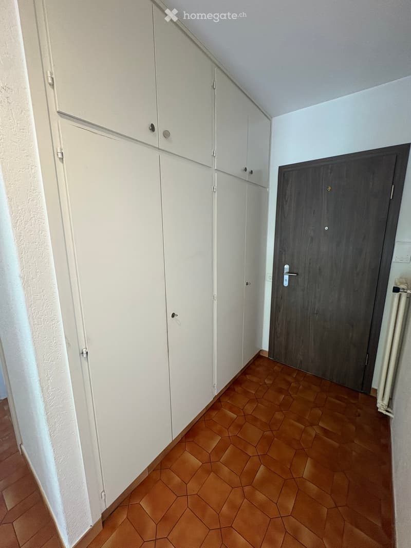 A narrow hallway with white built-in cabinets on one side and a dark wooden door on the other. The floor is covered with hexagonal brown tiles.