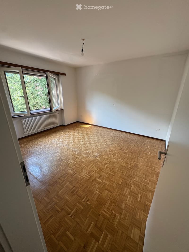 Empty room with wooden herringbone flooring, white walls, and large windows with a view of greenery. Features a radiator and a single ceiling light fixture.