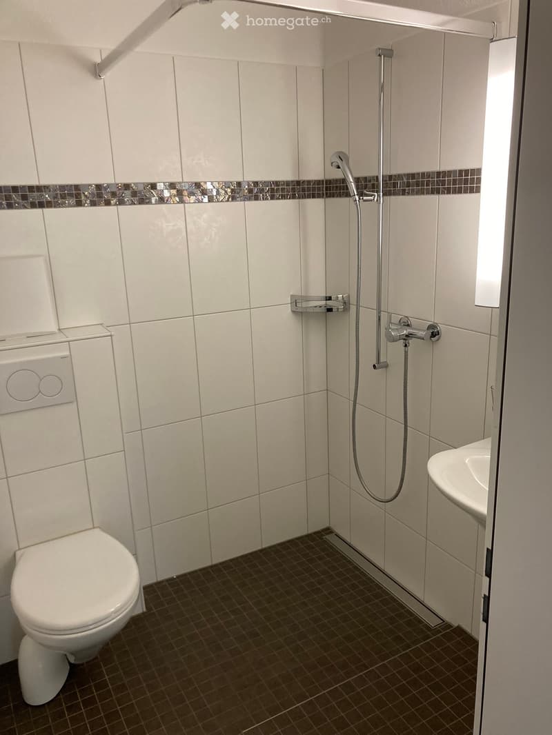 Modern bathroom with white tiled walls, a shower area with a handheld showerhead, a toilet, and a sink.