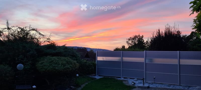 Garden area with a modern grey fence, lush greenery, and a colorful sunset sky in the background.