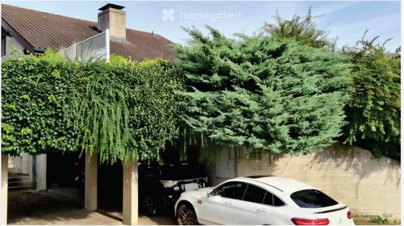A two-story house with a tiled roof and chimney, partially covered by lush green foliage, with a garage containing a white car and a motorcycle.