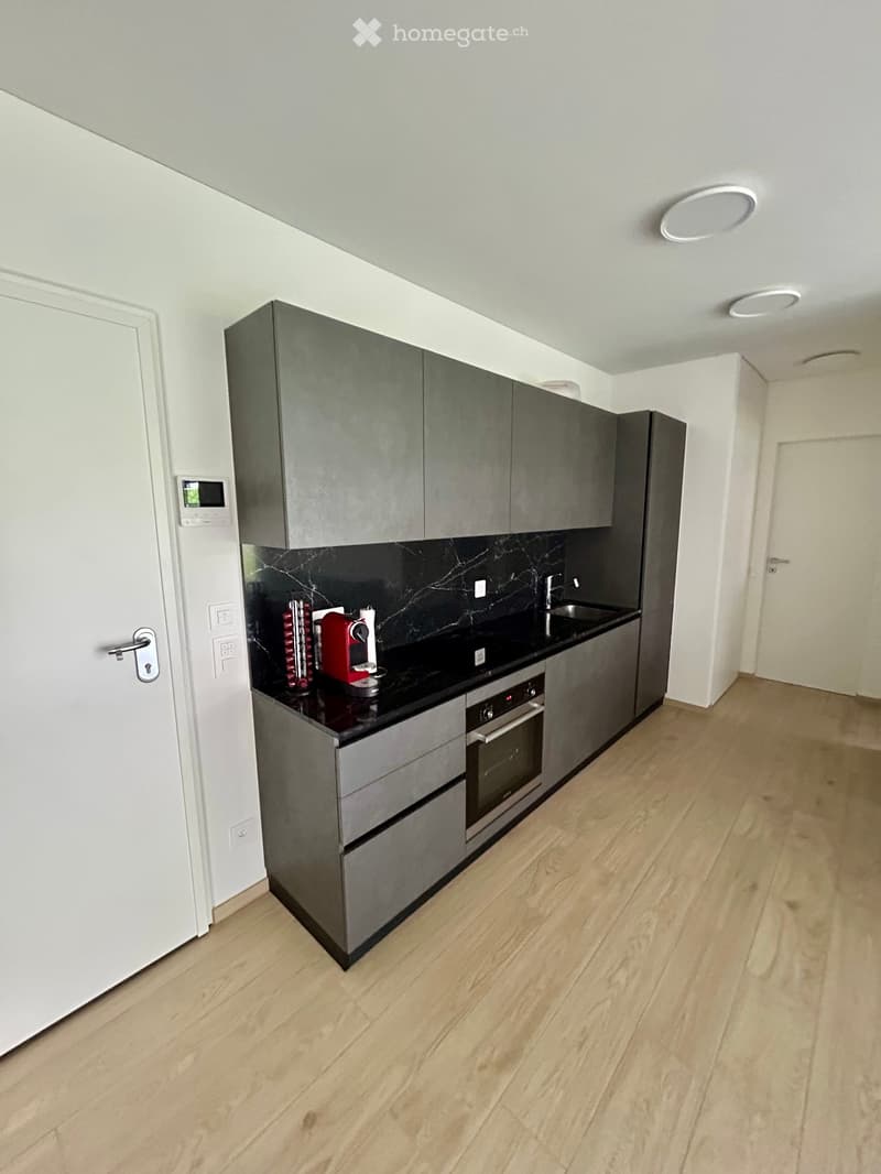 Modern kitchen with grey cabinets, black marble backsplash, wooden flooring, and stainless steel appliances including an oven and sink.