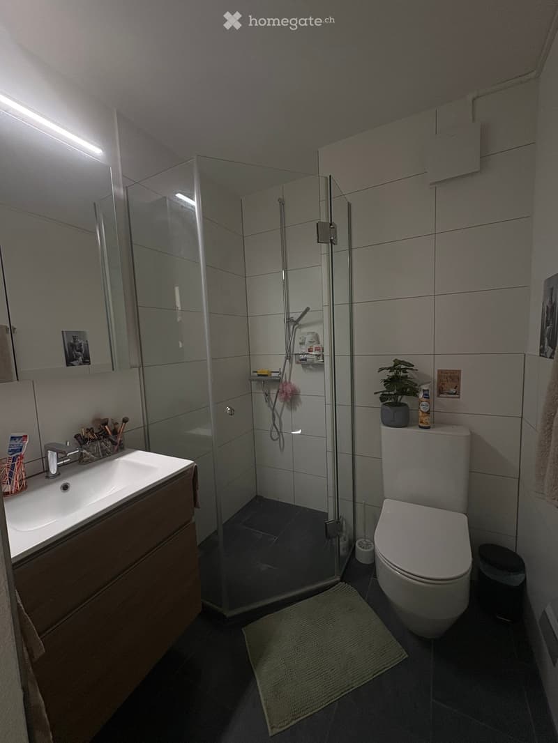 Modern bathroom with a glass-enclosed shower, a sink with a wooden cabinet, a toilet, a small plant on the toilet tank, and a towel on the floor.