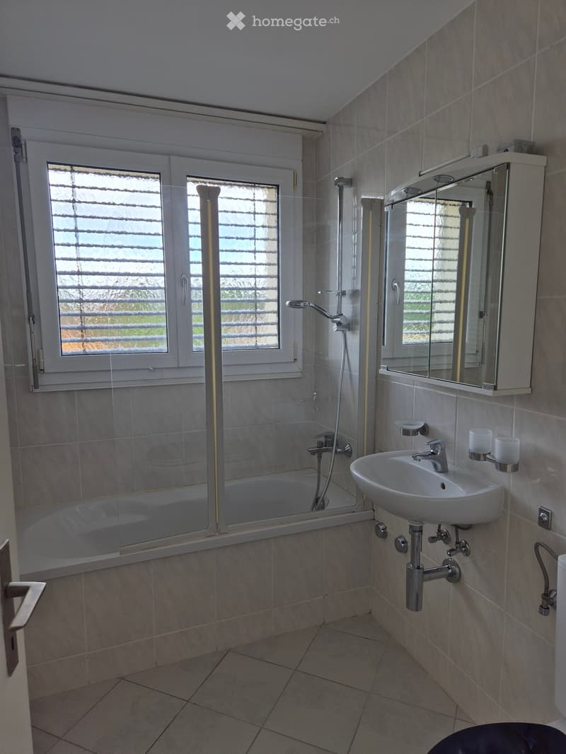 Modern bathroom with a white sink, mirror cabinet, bathtub, and showerhead. The room features tiled walls and floor, with two windows offering natural light.