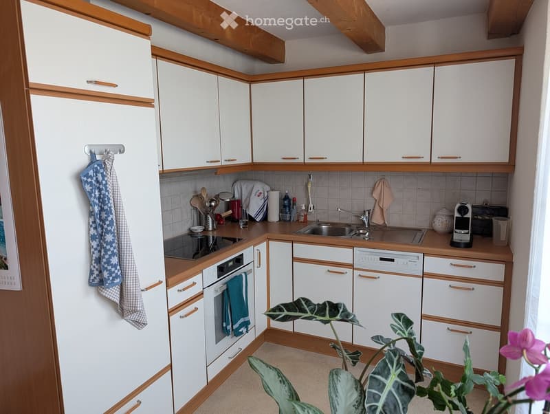 {"type": "Kitchen", "objects": ["oven", "dishwasher", "sink", "faucet", "coffee maker", "oven mitt", "oven gloves", "oven mitt", "oven gloves", "oven gloves", "oven gloves", "oven gloves", "oven gloves", "oven gloves", "oven gloves", "oven gloves", "oven