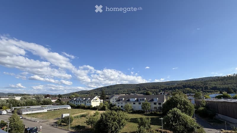 A panoramic view of a suburban area with houses, trees, and a distant forested hill under a clear blue sky.
