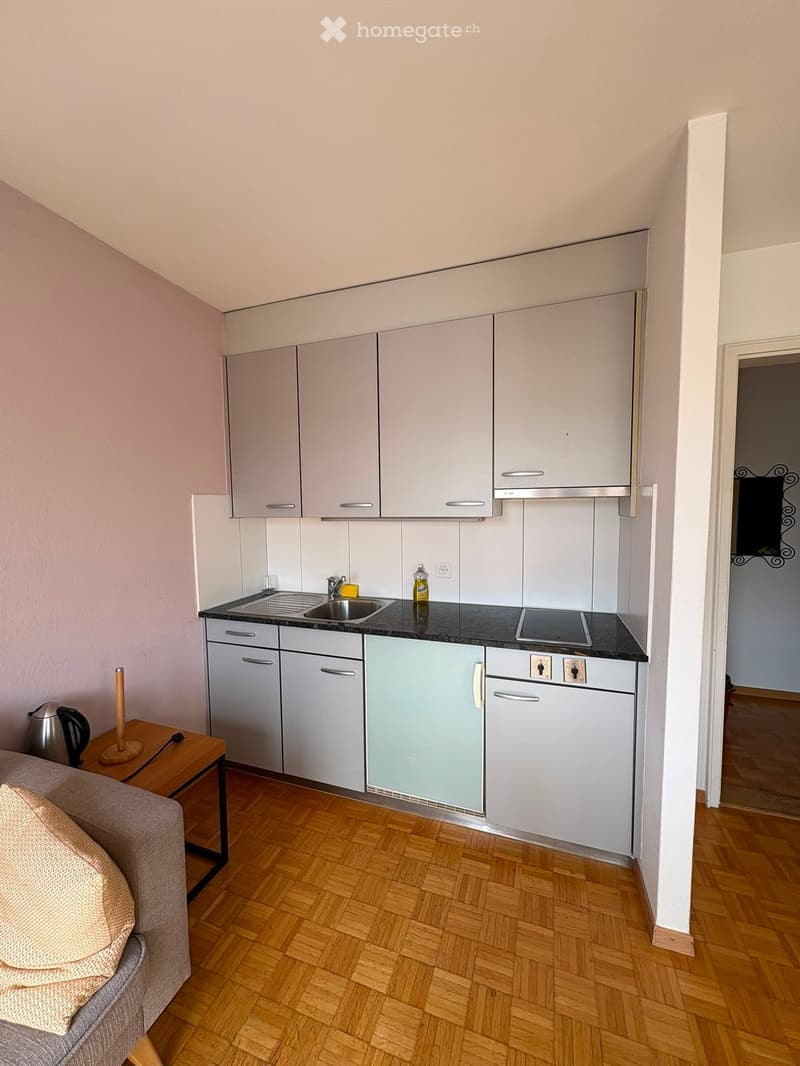 A modern, compact kitchen and living area with light grey cabinets, a black countertop, a sink, a refrigerator, and a small sofa with a cushion. The floor is wooden, and the space is well-lit with natural light.