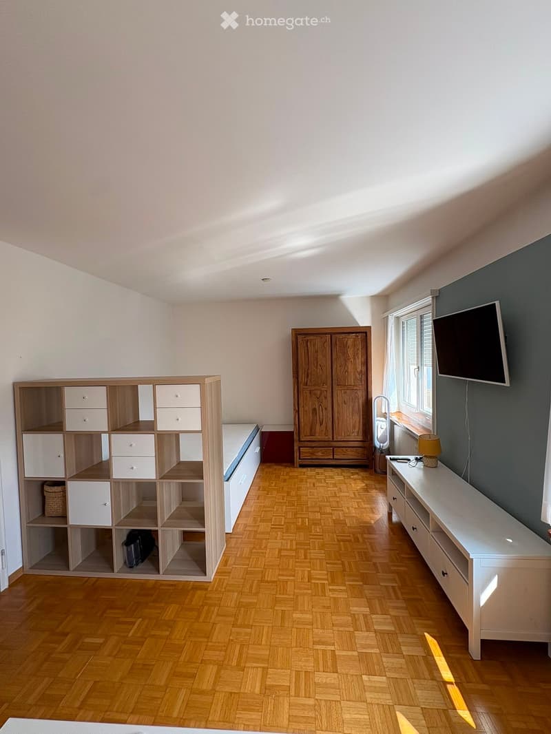 A modern, well-lit room with wooden flooring, a large window, a wardrobe, a shelf unit, a TV, a small table with a lamp, and a bed partially visible.