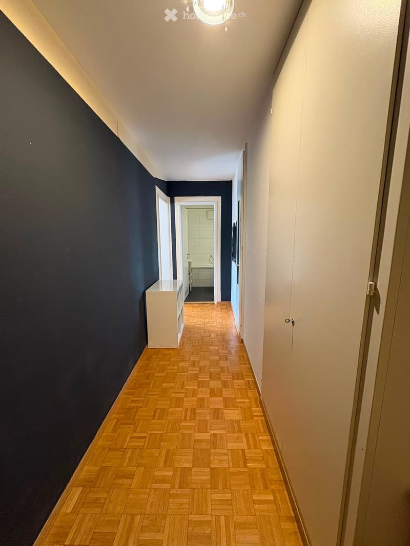 A narrow hallway with wooden herringbone flooring, dark blue walls on one side, and white walls on the other. Features a small white cabinet on the left and a partially visible bathroom at the end.